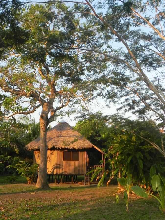 Green Diamond Amazon Lodge Puerto Maldonado Exteriér fotografie